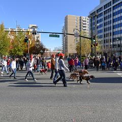 Bethesda - Silver Spring - Anacostia - MLK - Bethesda Nov 2011