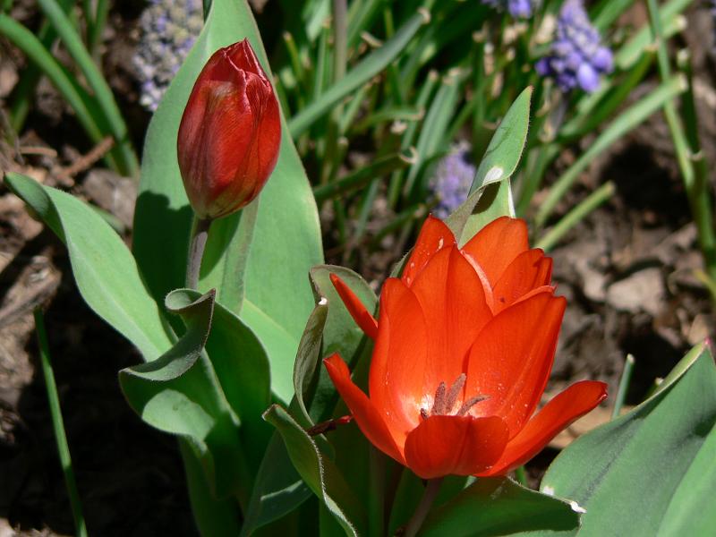 P1050459.JPG