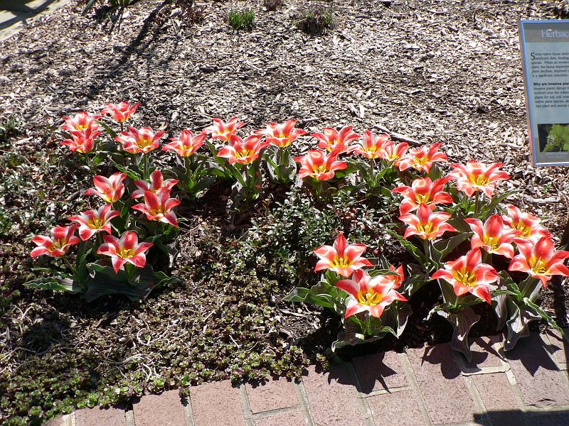 P1050501.JPG