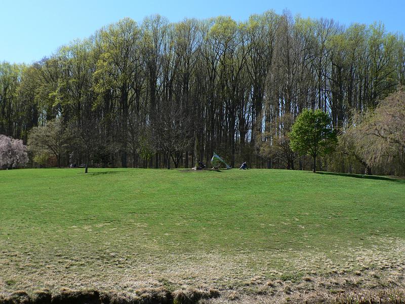 P1050650.JPG