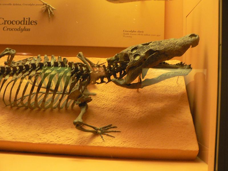 P1160758.JPG
