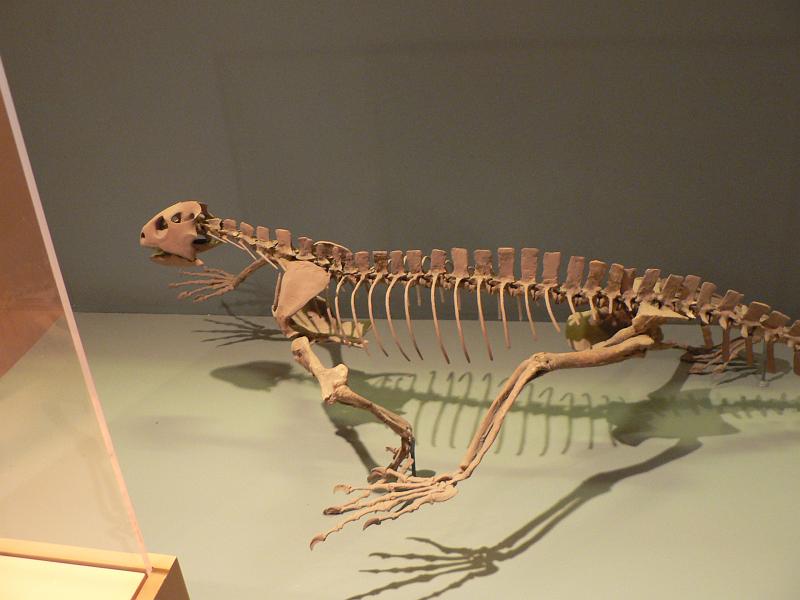 P1160795.JPG