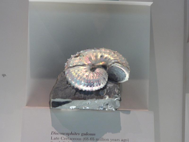 P1160849.JPG