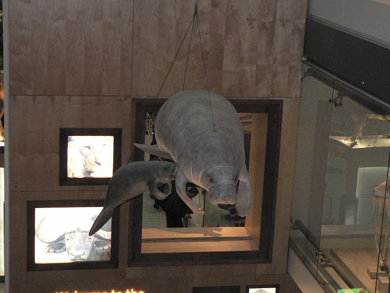 P1160887.JPG
