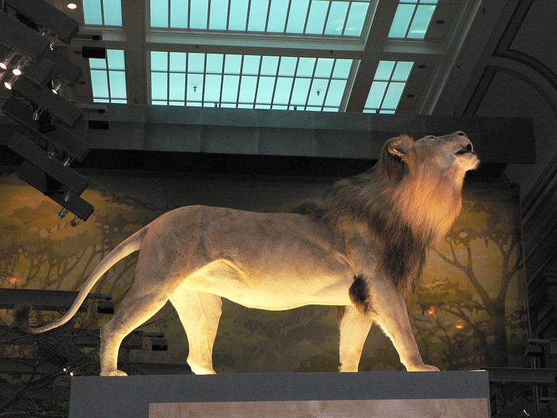 P1160894.JPG
