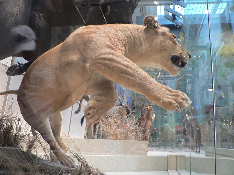 P1160899.JPG