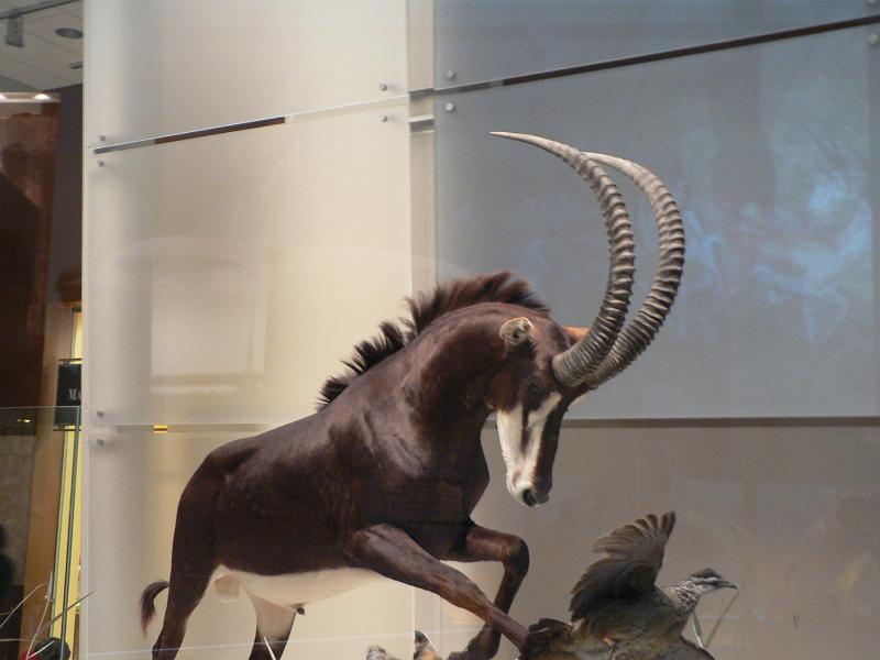 P1160924.JPG