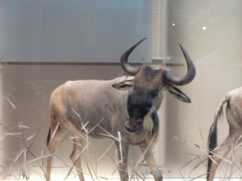 P1160925.JPG