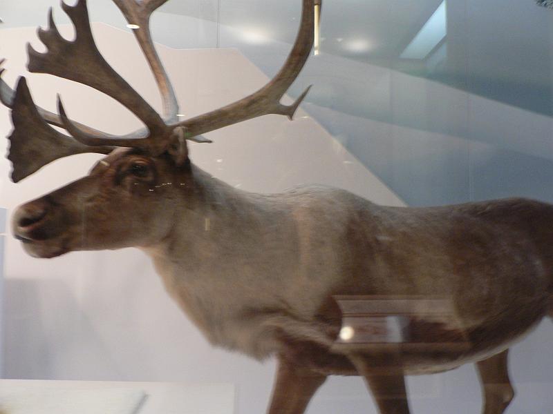 P1160961.JPG