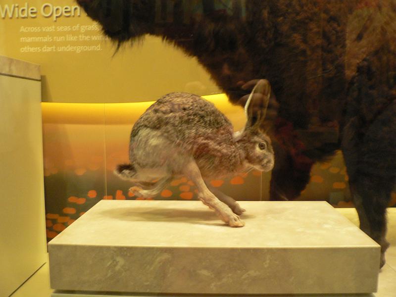 P1160986.JPG