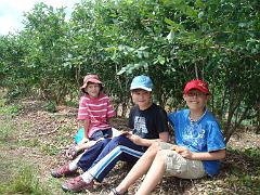 Butlers Orchard Jun 2012