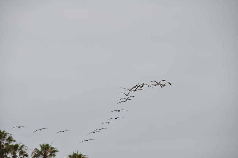 DSC_0050.JPG