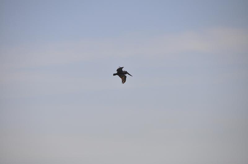 DSC_0216.JPG