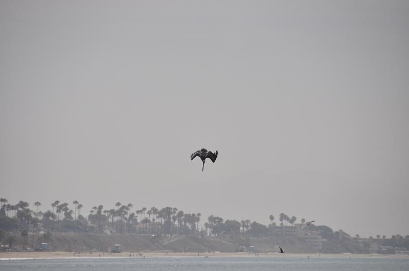 DSC_0244.JPG