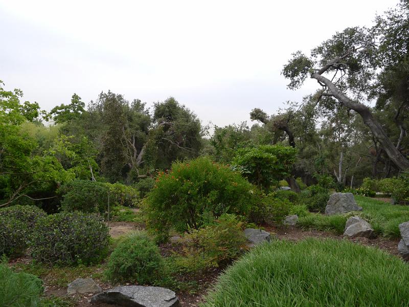 P1060634.JPG