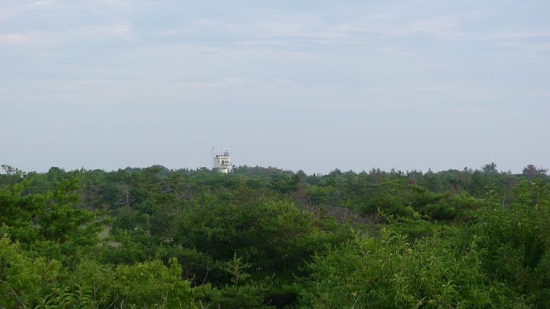 P1000969.JPG