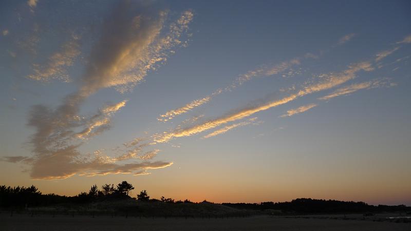 P1010125.JPG