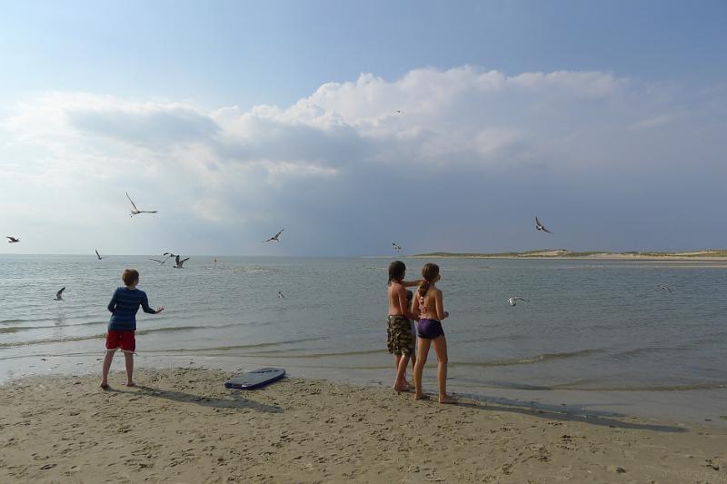 P1010188.JPG