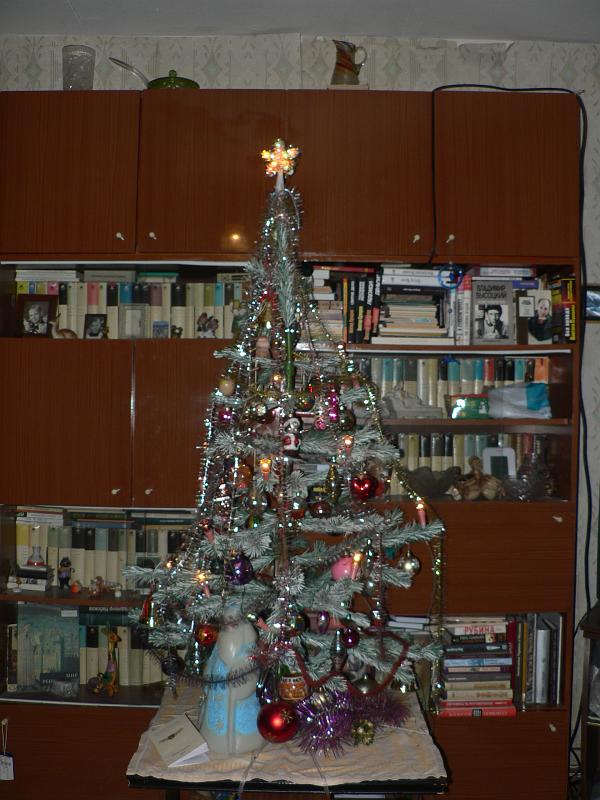 P1320117.JPG