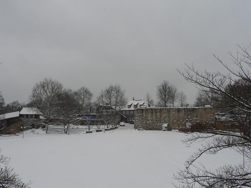 P1330270.JPG
