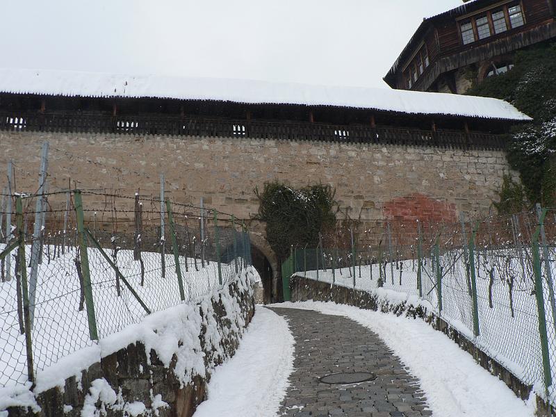 P1330289.JPG