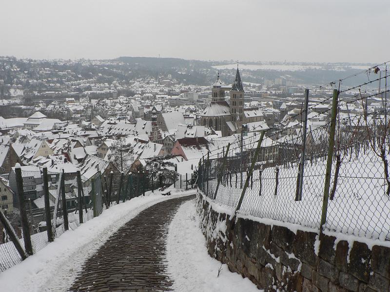 P1330290.JPG