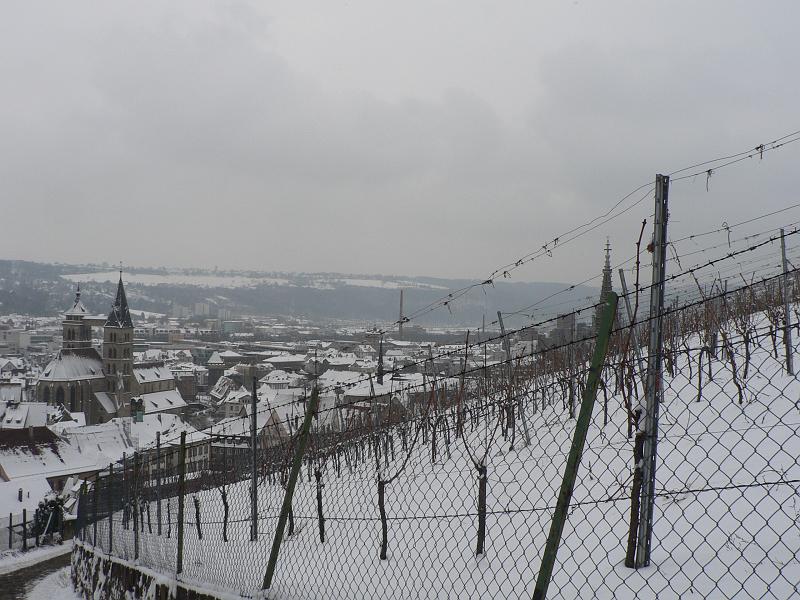 P1330291.JPG