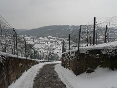 P1330287