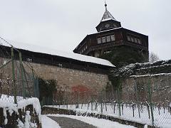 P1330288
