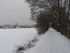 P1330326