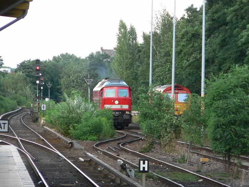 P1250950.JPG