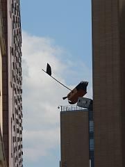 P1260171