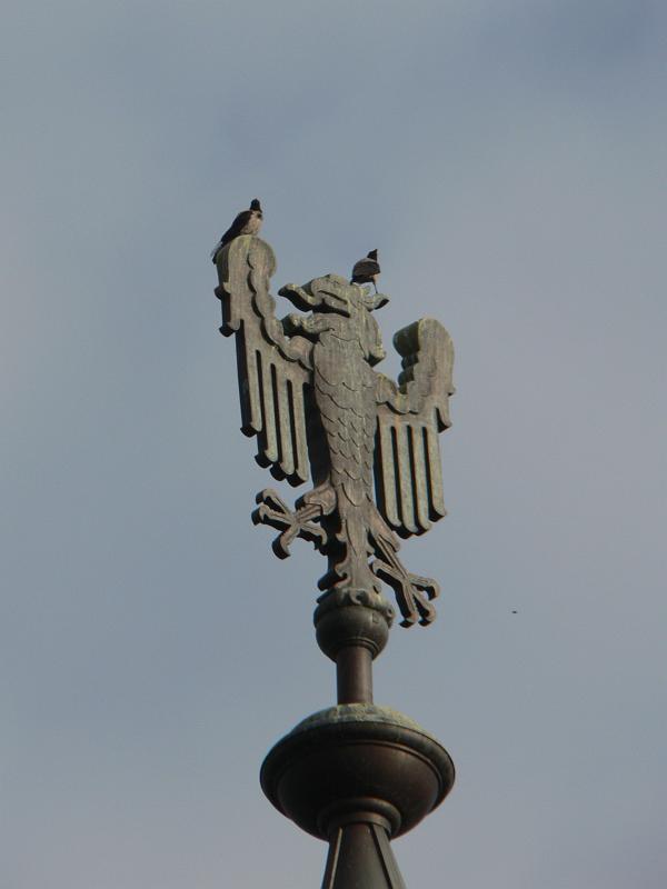 P1260245.JPG