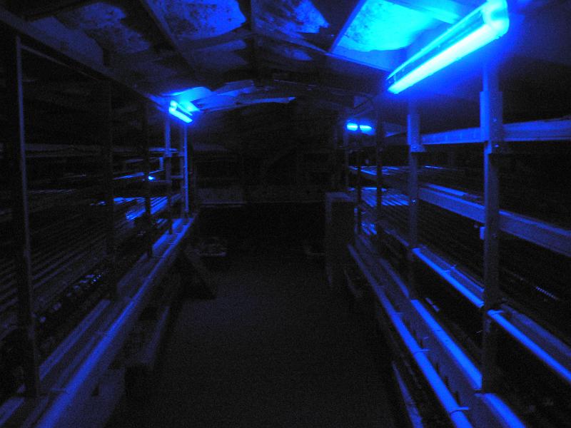 P1260631.JPG