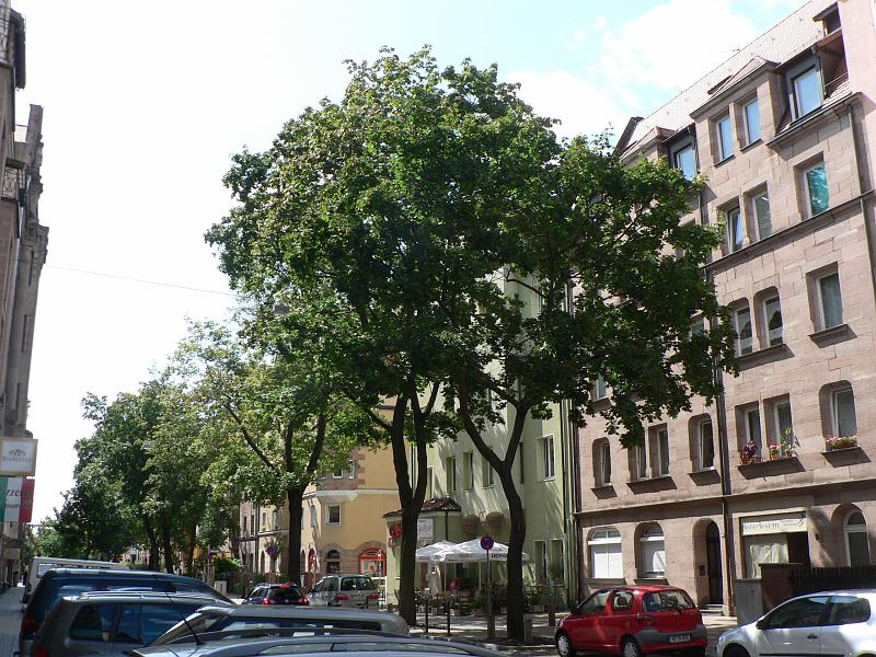 P1270721.JPG