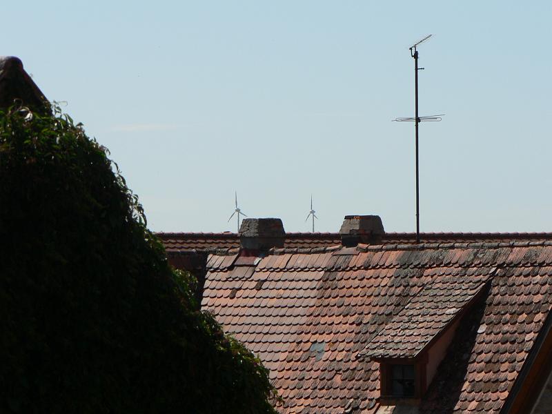 P1280253.JPG
