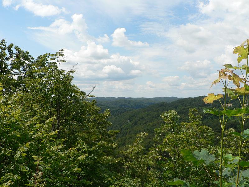 P1280308.JPG