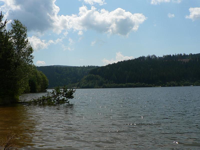 P1280479.JPG
