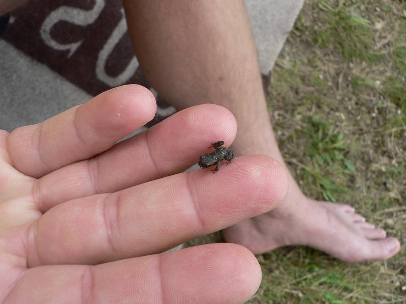 P1280520.JPG