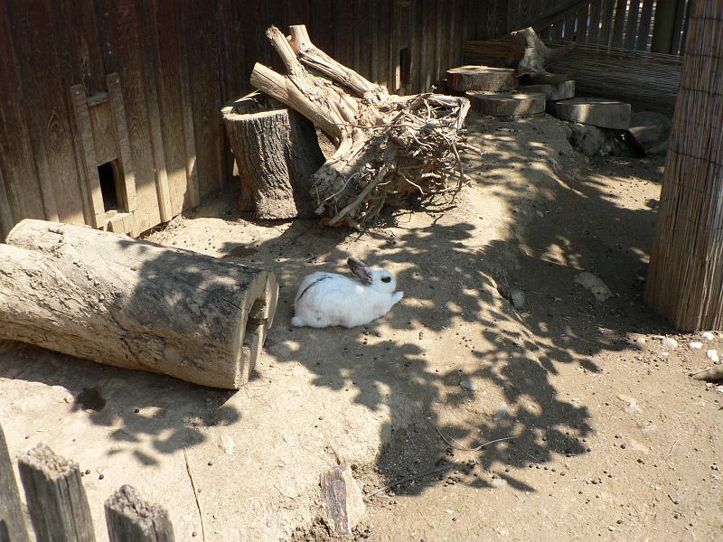 P1280784.JPG