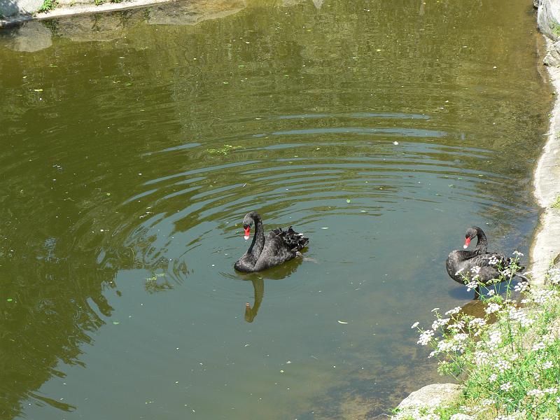 P1280789.JPG