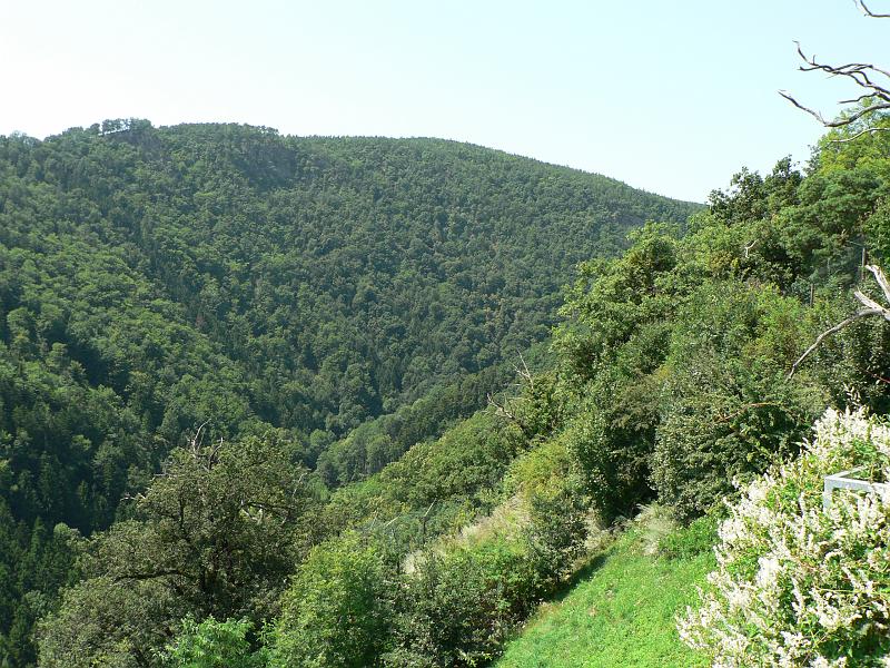 P1280812.JPG