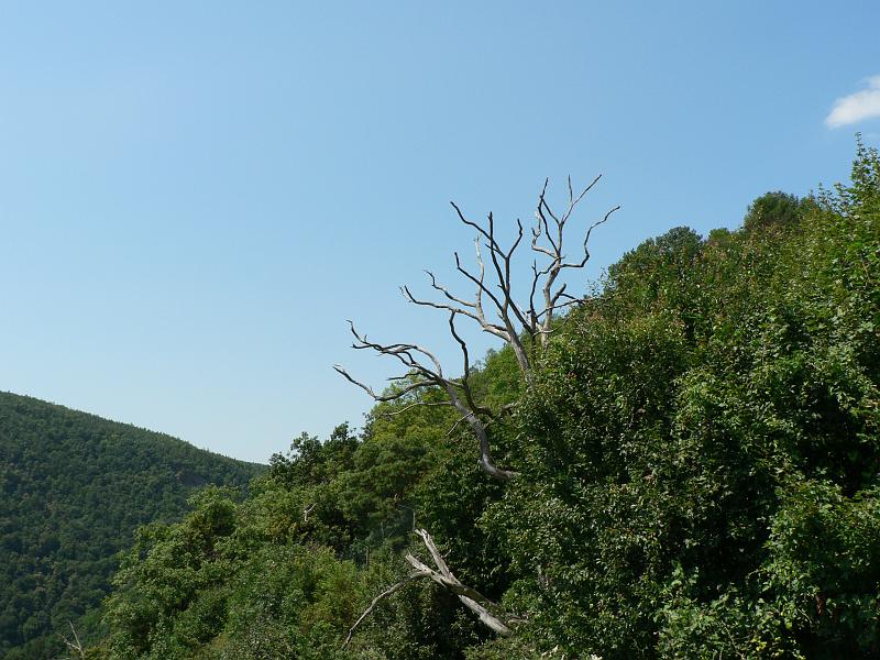 P1280814.JPG