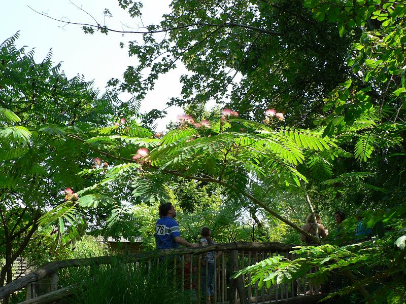 P1280848.JPG