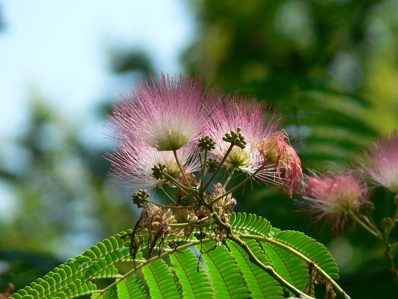 P1280850.JPG