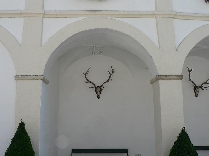 P1280882.JPG