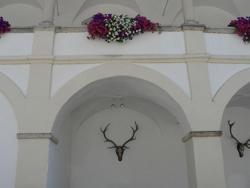 P1280883.JPG