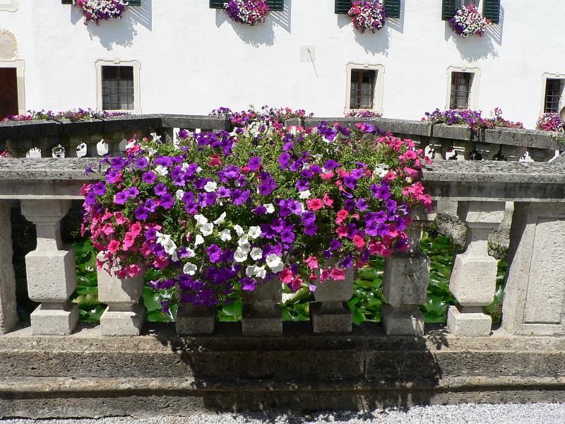 P1280884.JPG