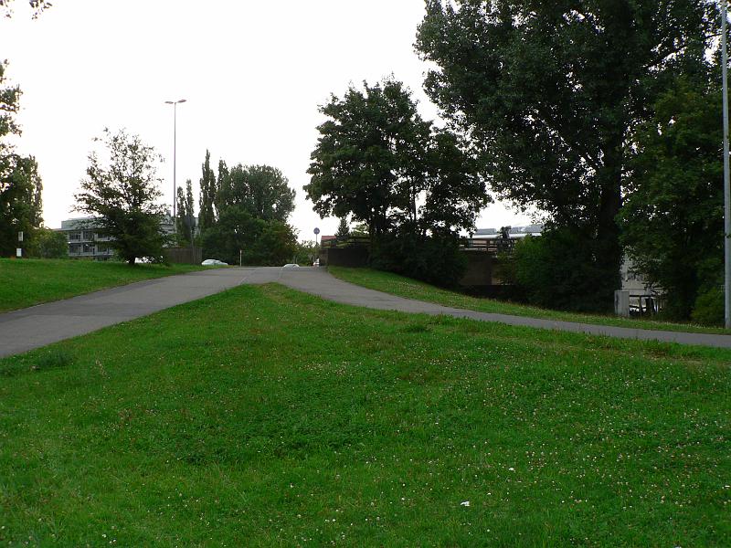 P1290344.JPG