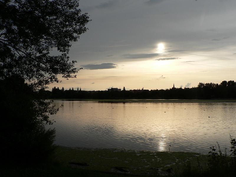 P1290353.JPG